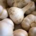 Growing garlic in your straw bale garden