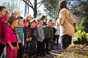 Kids garden in a strawbale - Balegrow early learning program