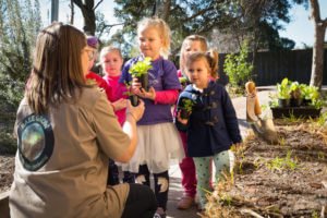 Kids garden in a strawbale - Balegrow early learning program