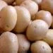 Can I grow potatoes in a straw bale garden?