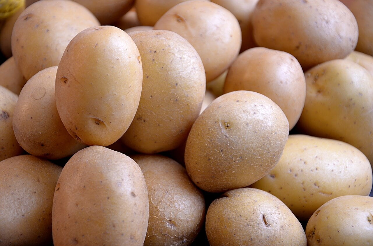 Can I Grow Potatoes In A Straw Bale Garden Balegrow