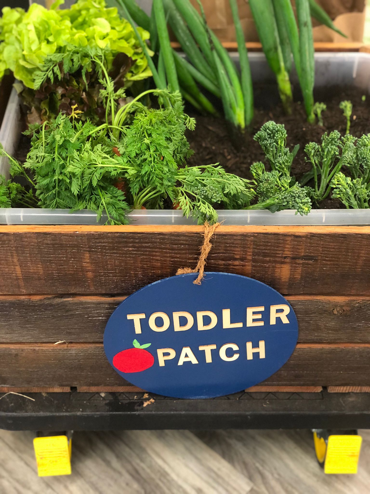 Toddler Patch Program
